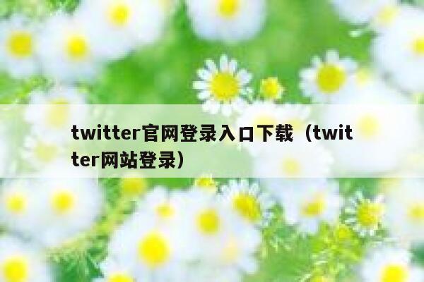 twitter官网登录入口下载（twitter网站登录） 第1张