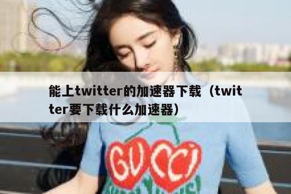 能上twitter的加速器下载（twitter要下载什么加速器） 第1张