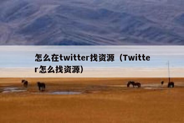 怎么在twitter找资源（Twitter怎么找资源） 第1张