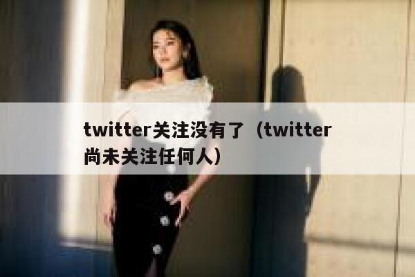 twitter关注没有了（twitter尚未关注任何人） 第1张