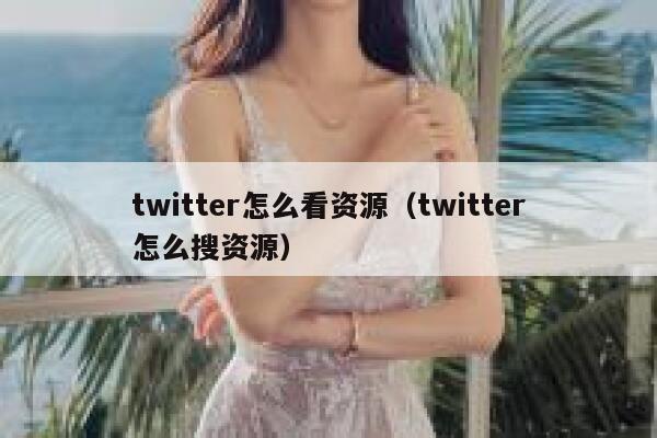 twitter怎么看资源（twitter怎么搜资源） 第1张