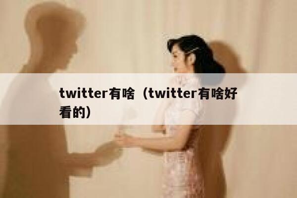 twitter有啥（twitter有啥好看的） 第1张