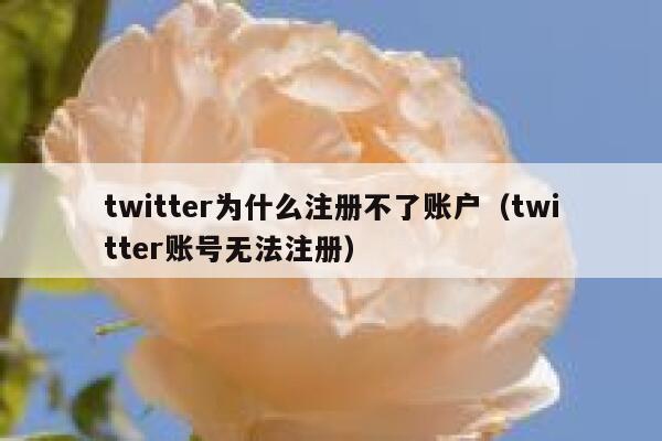 twitter为什么注册不了账户（twitter账号无法注册） 第1张