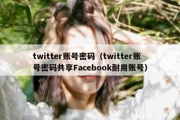 twitter账号密码（twitter账号密码共享Facebook耐用账号） 第1张