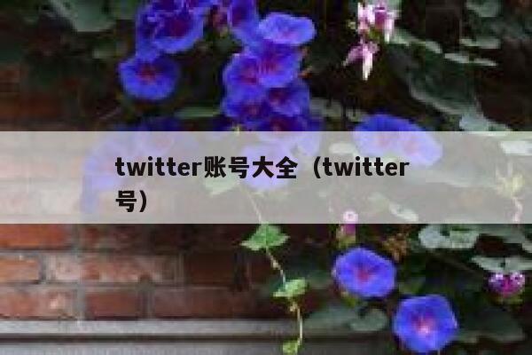 twitter账号大全（twitter 号） 第1张