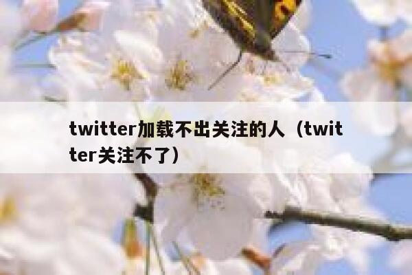 twitter加载不出关注的人（twitter关注不了） 第1张