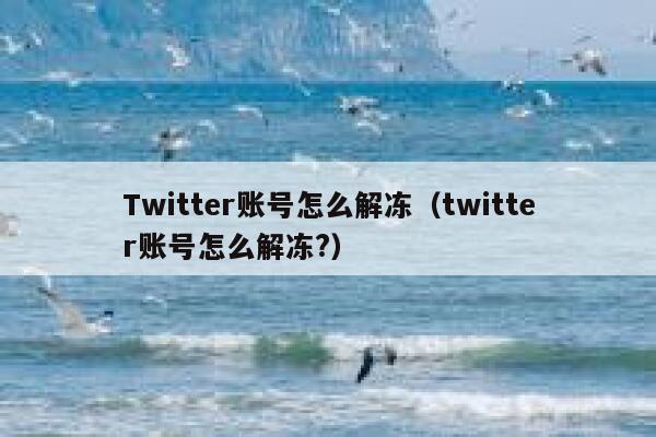 Twitter账号怎么解冻（twitter账号怎么解冻?） 第1张