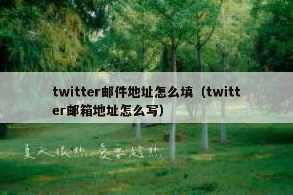 twitter邮件地址怎么填（twitter邮箱地址怎么写） 第1张