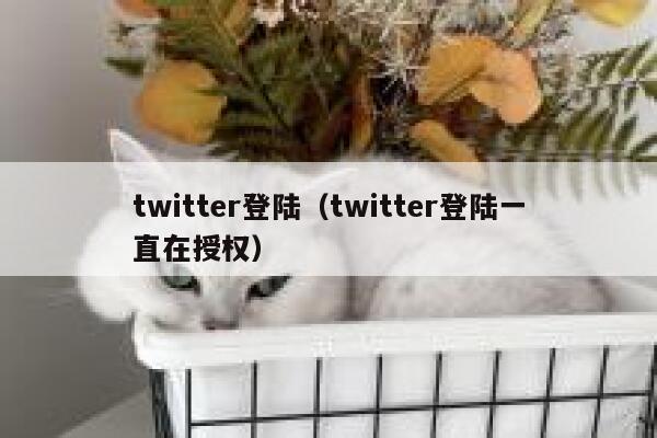 twitter登陆（twitter登陆一直在授权） 第1张