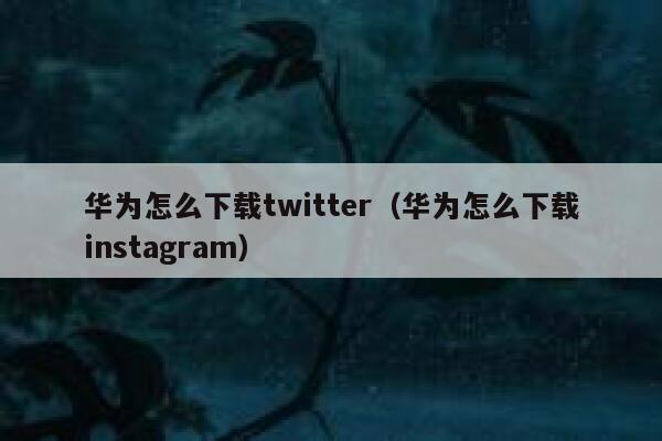 华为怎么下载twitter（华为怎么下载instagram） 第1张