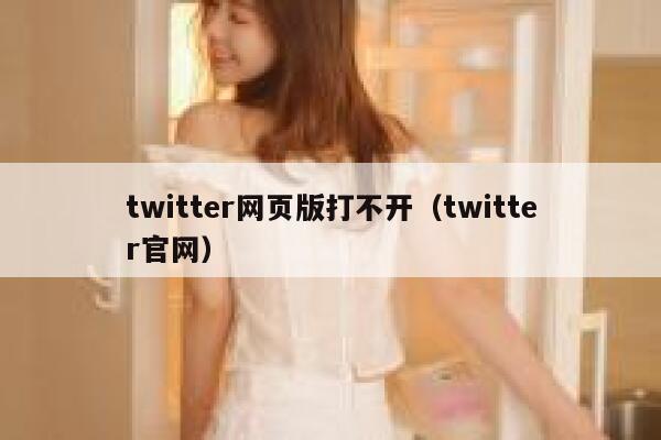 twitter网页版打不开（twitter官网） 第1张