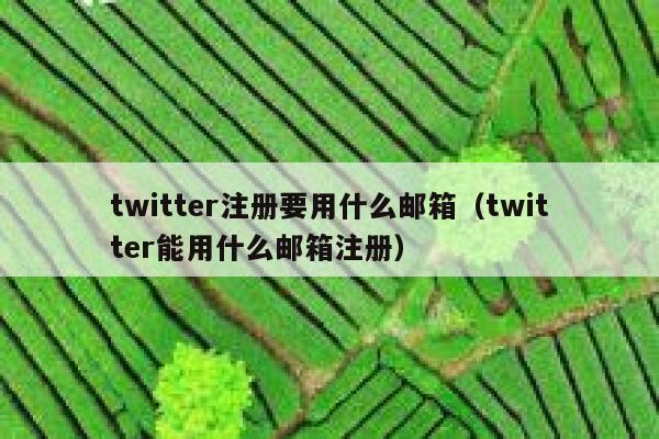 twitter注册要用什么邮箱（twitter能用什么邮箱注册） 第1张