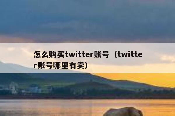 怎么购买twitter账号（twitter账号哪里有卖） 第1张