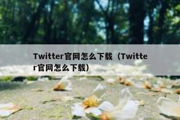 Twitter官网怎么下载（Twitter官网怎么下载） 第1张