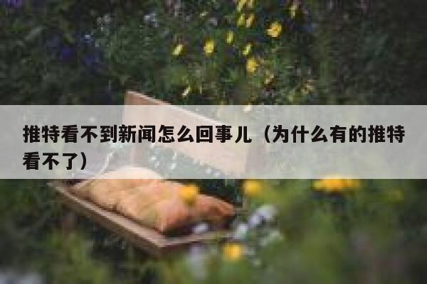 推特看不到新闻怎么回事儿（为什么有的推特看不了） 第1张