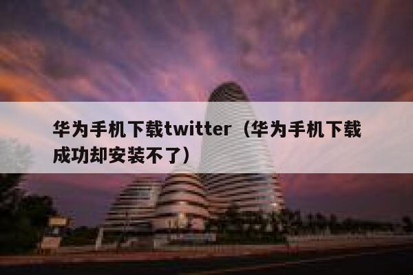 华为手机下载twitter（华为手机下载成功却安装不了） 第1张