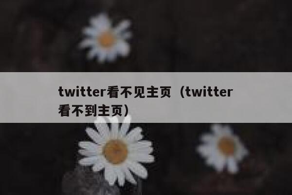 twitter看不见主页（twitter看不到主页） 第1张