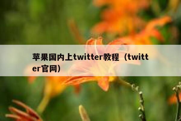 苹果国内上twitter教程（twitter官网） 第1张