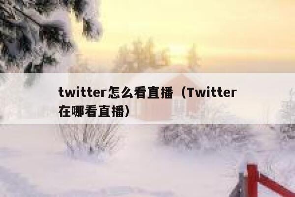 twitter怎么看直播（Twitter在哪看直播） 第1张