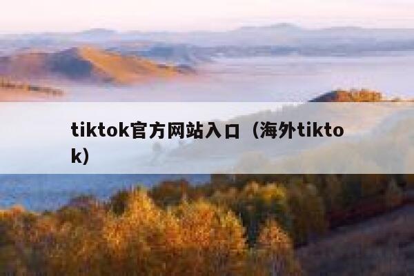 tiktok官方网站入口（海外tiktok） 第1张