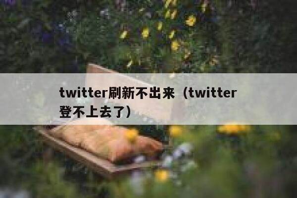 twitter刷新不出来（twitter登不上去了） 第1张