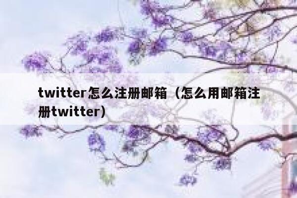 twitter怎么注册邮箱（怎么用邮箱注册twitter） 第1张