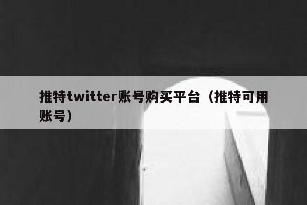 推特twitter账号购买平台（推特可用账号） 第1张