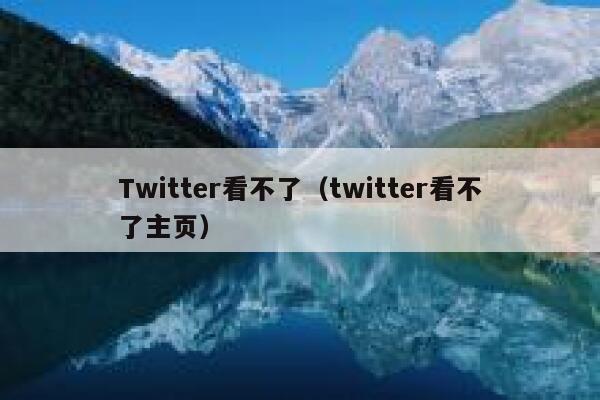 Twitter看不了（twitter看不了主页） 第1张
