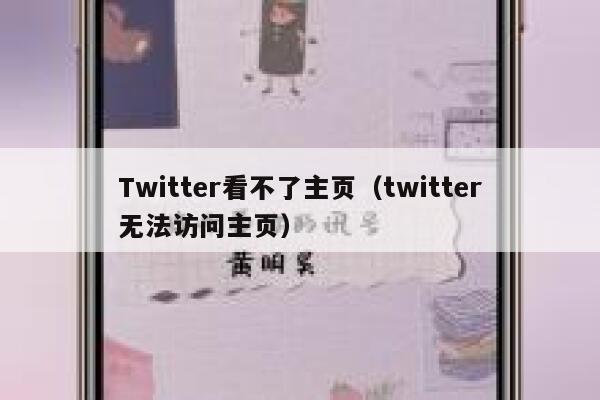 Twitter看不了主页（twitter无法访问主页） 第1张