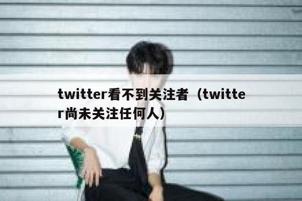 twitter看不到关注者（twitter尚未关注任何人） 第1张
