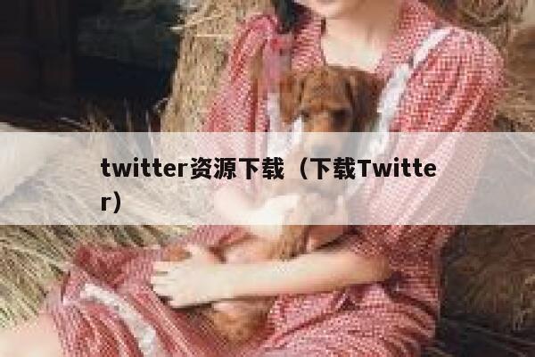 twitter资源下载（下载Twitter） 第1张