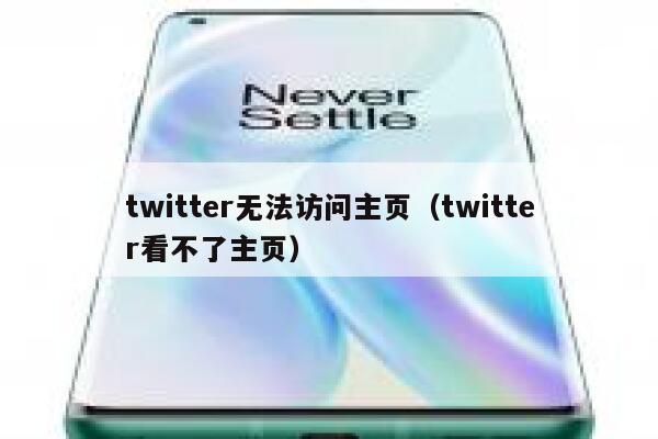 twitter无法访问主页（twitter看不了主页） 第1张