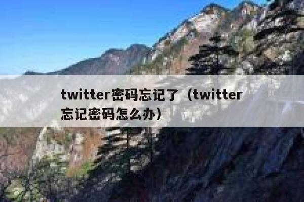 twitter密码忘记了（twitter忘记密码怎么办） 第1张