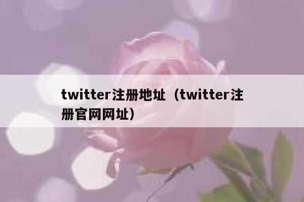 twitter注册地址（twitter注册官网网址） 第1张