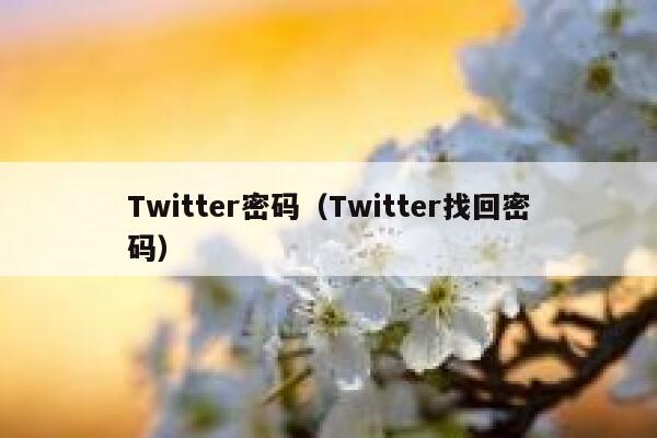 Twitter密码（Twitter找回密码） 第1张