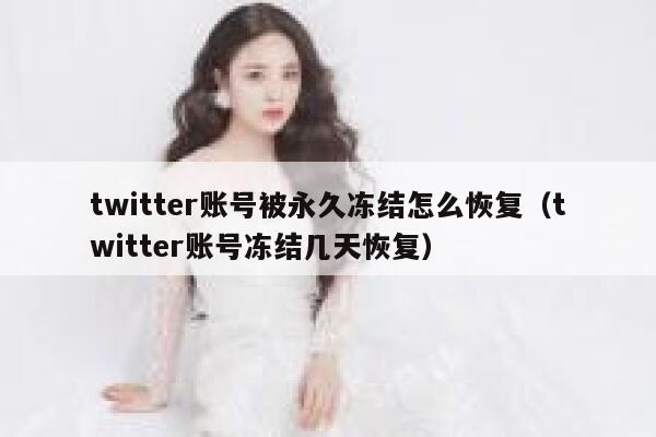twitter账号被永久冻结怎么恢复（twitter账号冻结几天恢复） 第1张