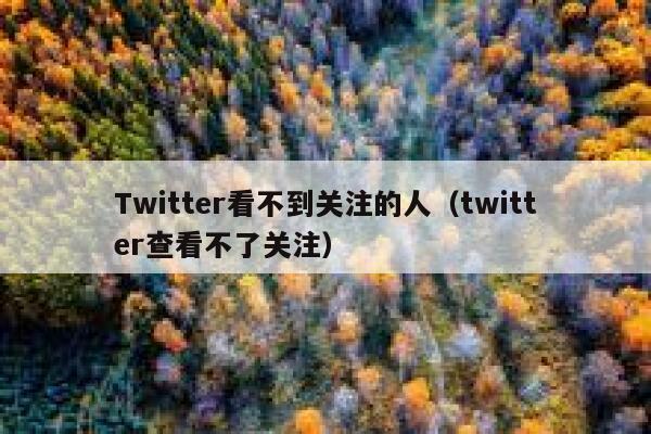 Twitter看不到关注的人(twitter查看不了关注) 第1张 Twitter看不到关注的人(twitter查看不了关注) 第1张