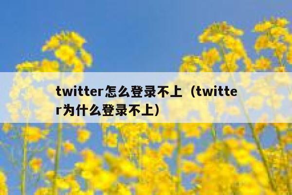 twitter怎么登录不上(twitter为什么登录不上) 第1张 twitter怎么登录不上(twitter为什么登录不上) 第1张