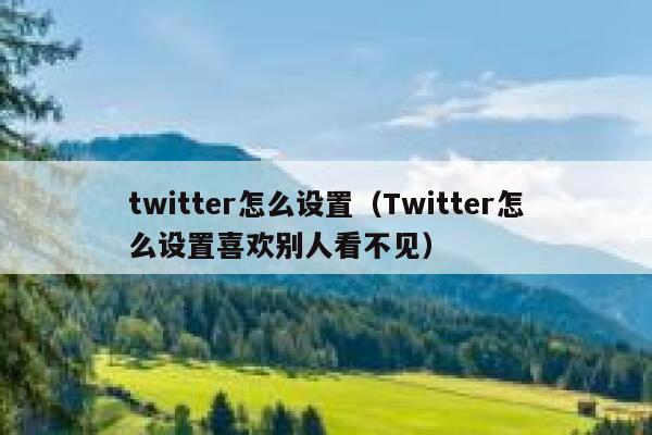 twitter怎么设置(Twitter怎么设置喜欢别人看不见) 第1张 twitter怎么设置(Twitter怎么设置喜欢别人看不见) 第1张