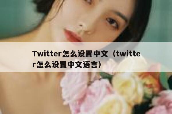 Twitter怎么设置中文（twitter怎么设置中文语言） 第1张