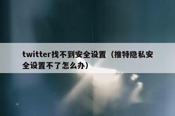twitter找不到安全设置（推特隐私安全设置不了怎么办） 第1张