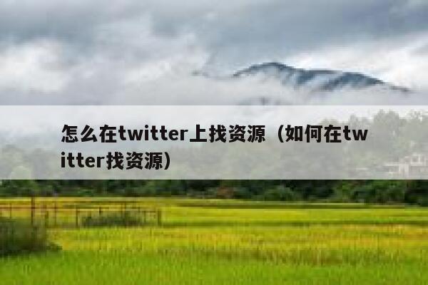 怎么在twitter上找资源（如何在twitter找资源） 第1张
