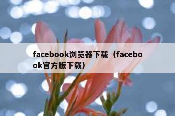 facebook浏览器下载（facebook官方版下载） 第1张