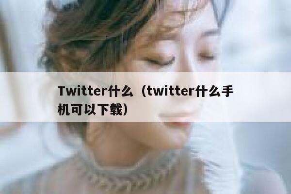 Twitter什么（twitter什么手机可以下载） 第1张