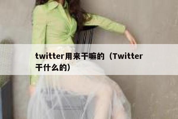 twitter用来干嘛的（Twitter干什么的） 第1张