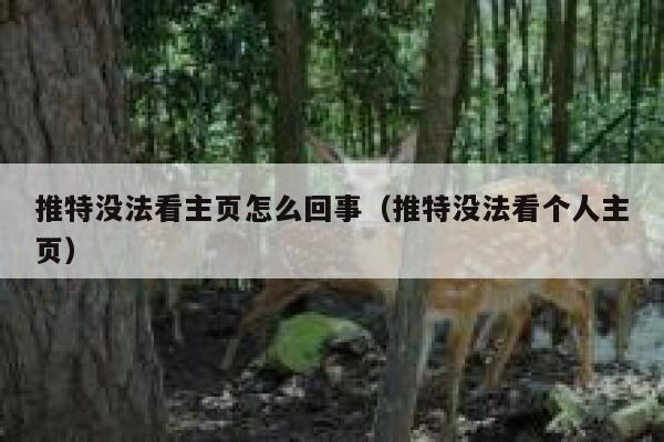 推特没法看主页怎么回事(推特没法看个人主页) 第1张 推特没法看主页怎么回事(推特没法看个人主页) 第1张