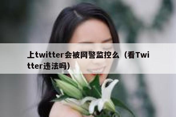 上twitter会被网警监控么(看Twitter违法吗) 第1张 上twitter会被网警监控么(看Twitter违法吗) 第1张