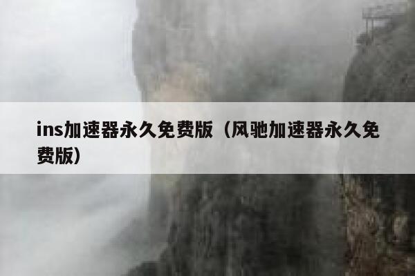 ins加速器永久免费版（风驰加速器永久免费版） 第1张