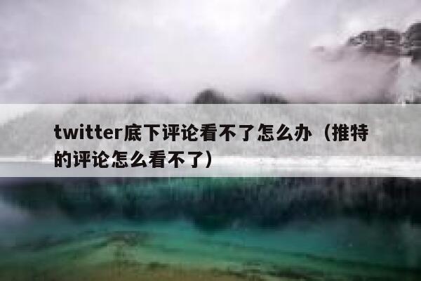 twitter底下评论看不了怎么办（推特的评论怎么看不了） 第1张