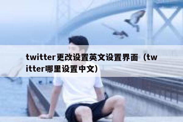 twitter更改设置英文设置界面（twitter哪里设置中文） 第1张
